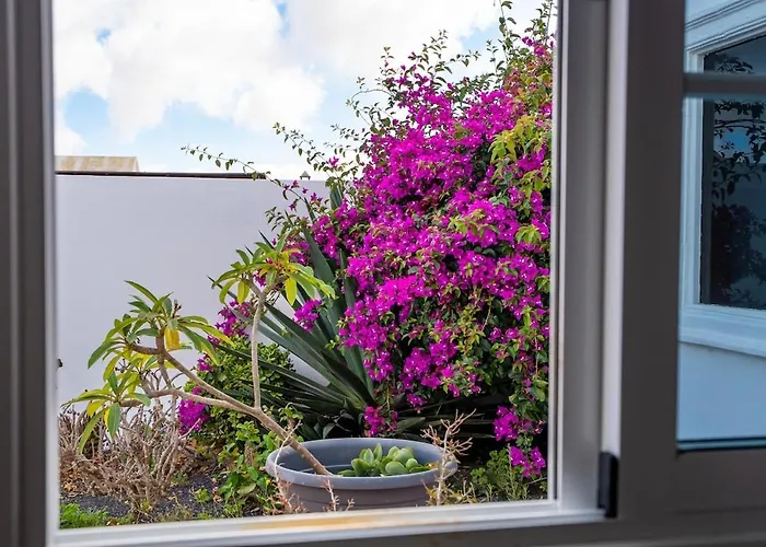 Casita Moscatel Hébergement de vacances