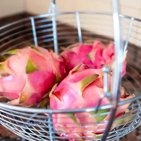 Casita Moscatel * El Islote