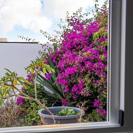 Casita Moscatel Feriehus