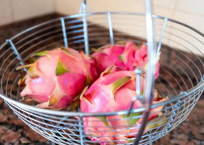 Casita Moscatel * El Islote